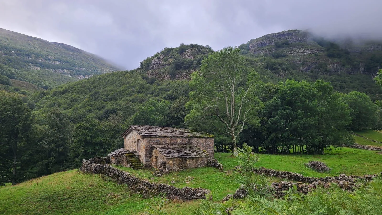 Cabaña pasiegas de piedra en El Bernacho rodeada de hayedo